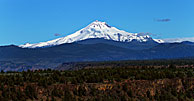 Mount Jefferson From The Cove Palisades Park