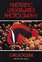 Mastering Underwater Photography