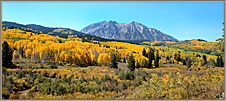 Aspens And Distant Mountain