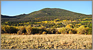 Aspens Below Rainbow Curve