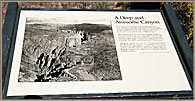 Deep Canyon Sign