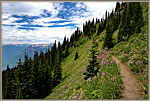 4 Rick's Far Ahead On Idaho Peak