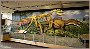 Allosaurus Diorama