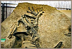 Skeleton in Stone