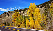 4 Fall Colors Two Idaho