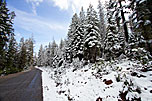 1 Snowy Road To Fourmile Lake 1