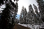 2 Snowy Road To Fourmile Lake 2