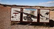 Raptors Sign At Devil's Canyon