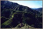 3000 Year Old Rice Terraces