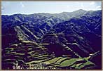 3000 Year Old Rice Terraces Two