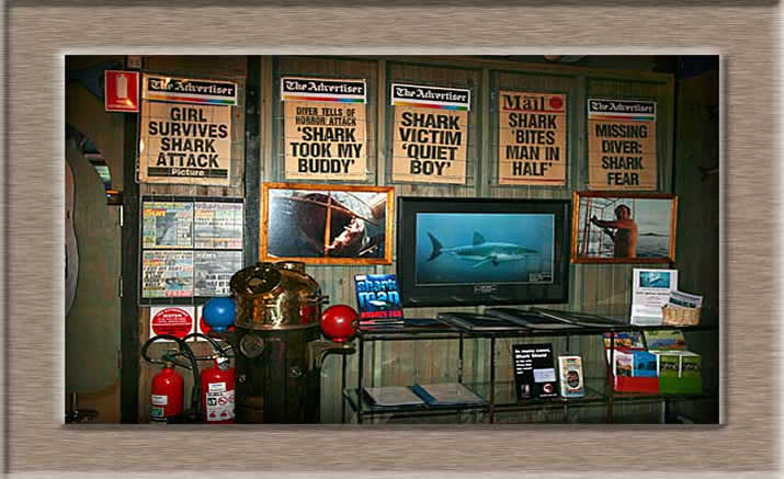 Sensational Headlines in Rodney Foxes former Shark Museum
