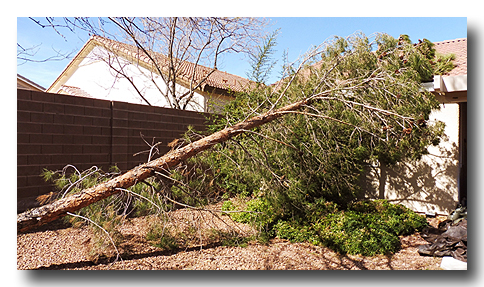 InFullSunlightItLooksWorse