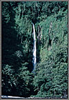 Waterfall Vertical