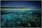 Beautiful Shallow Reefs And Island