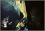 Divers In the Grotto Under the Forest.