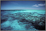 Bay And Reefs Of Atoll